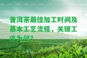 普洱茶最佳加工時間及基本工藝流程，關鍵工序為何？