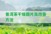 普洱茶干燥圖片及改善方法