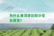 為什么普洱茶比較少見且便宜？