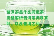 普洱茶是什么問道茶：完整解析普洱茶類及茶葉，以及普洱之問