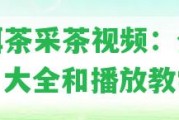 普洱茶采茶視頻：全教程、大全和播放教學(xué)