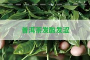 普洱茶發(fā)酸發(fā)澀