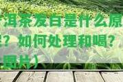 普洱茶發(fā)白是什么起因呢？怎樣解決和喝？（含圖片）