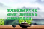 普洱生茶發(fā)酵多久才能成熟茶？發(fā)酵程度及自然發(fā)酵時間是關鍵！