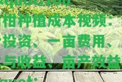 \"100畝柑種植成本視頻：綜合投資、一畝費用、成本與收益、畝產效益\"