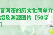 普洱茶的歷文化簡單介紹及淵源圖片【50字】