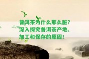 普洱茶為什么那么臟？深入探究普洱茶產地、加工和保存的起因！