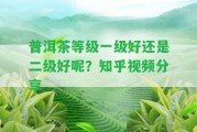 普洱茶等級一級好還是二級好呢？知乎視頻分享