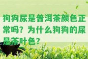 狗狗尿是普洱茶顏色正常嗎？為什么狗狗的尿是茶葉色？