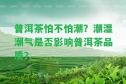 普洱茶怕不怕潮？潮濕潮氣是不是作用普洱茶品質(zhì)？