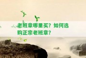 老班章哪里買(mǎi)？怎樣選購(gòu)正宗老班章？