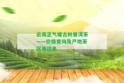 云南正氣塘古樹普洱茶——價格查詢及產(chǎn)地茶區(qū)等信息