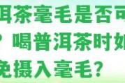 普洱茶毫毛是否可食用？喝普洱茶時(shí)如何避免攝入毫毛？