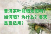 普洱茶葉能曬太陽嗎？怎樣曬？為什么？冬天是不是適用？