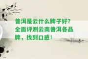 普洱是云什么牌子好？全面評(píng)測(cè)云南普洱各品牌，找到口感！