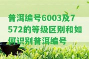 普洱編號(hào)6003及7572的等級(jí)區(qū)別和怎樣識(shí)別普洱編號(hào)