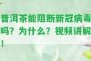 普洱茶能阻斷新冠病毒嗎？為什么？視頻講解！