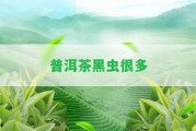 普洱茶黑蟲(chóng)很多