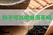 狗子可以喝普洱茶嗎