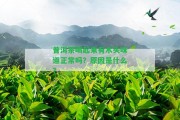 普洱茶喝起來有木頭味道正常嗎？起因是什么？