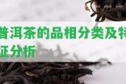 普洱茶的品相分類及特征分析