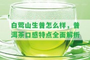 白鶯山生普怎么樣，普洱茶口感特點全面解析