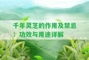 千年靈芝的作用及禁忌：功效與用途詳解