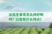 冰島生普茶怎么樣好喝嗎？口感有什么特點(diǎn)？