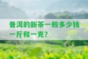 普洱的新茶一般多少錢一斤和一克？