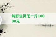 純野生靈芝一斤10000元