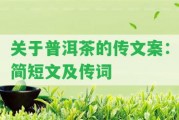 關(guān)于普洱茶的傳文案：簡(jiǎn)短文及傳詞