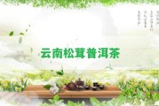 云南松茸普洱茶