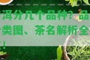 普洱分幾個品種？品種分類圖、茶名解析全在這！