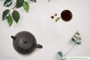 茶的治療-與你同行健康之路，綠蘿花茶