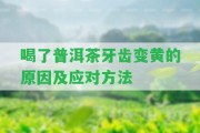 喝了普洱茶牙齒變黃的起因及應(yīng)對(duì)方法