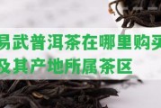 易武普洱茶在哪里購買及其產地所屬茶區(qū)