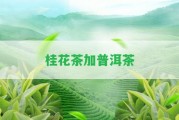 桂花茶加普洱茶