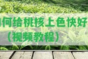 怎樣給桃核上色快好看？（視頻教程）