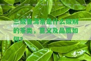 三級普洱茶是什么級別的茶類，意義及品質(zhì)怎樣？