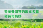 贊美普洱茶的散文名篇和詩句摘抄