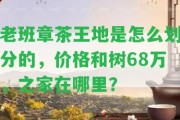 老班章茶王地是怎么劃分的，價格和樹68萬，之家在哪里？