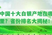 中國(guó)十大白銀產(chǎn)地在哪里？省份排名大揭秘！