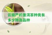 云南產的普洱茶種類有多少種及品種