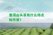 普洱山頭茶有什么特點和作用？