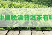 中國晚清普洱茶有嗎