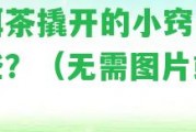 普洱茶撬開的小竅門有哪些？（無需圖片或視頻）