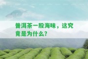 普洱茶一股海味，這究竟是為什么？