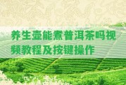 養(yǎng)生壺能煮普洱茶嗎視頻教程及按鍵操作