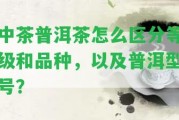 中茶普洱茶怎么區(qū)分等級(jí)和品種，以及普洱型號(hào)？