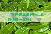 ‘玉萍普洱茶好嗎’真的值得一試嗎？